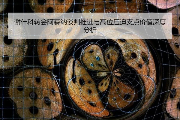 谢什科转会阿森纳谈判推进与高位压迫支点价值深度分析（leyu）